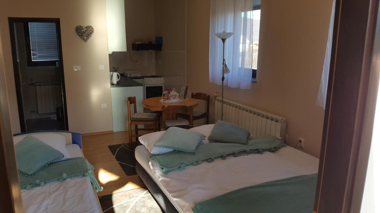 Studio apartman Salopek Ogulin Bagian luar foto